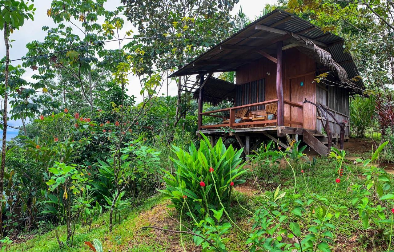 Sunset Lodge Дрейк Екстер'єр фото